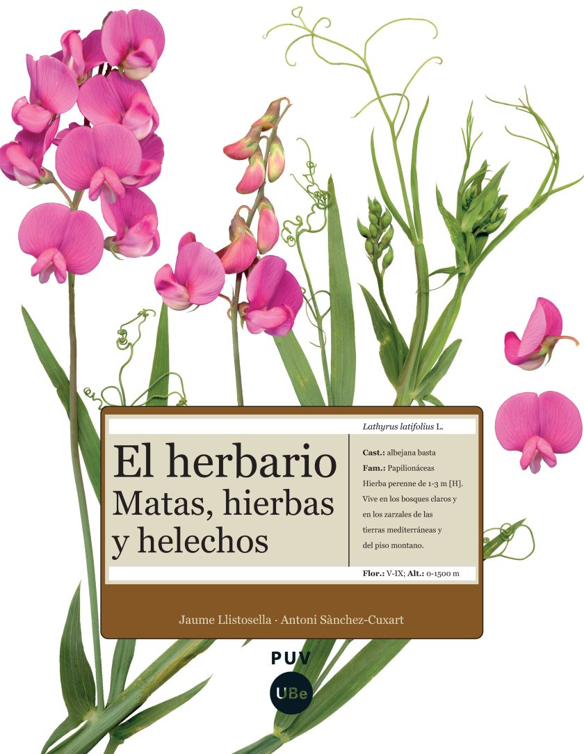 herbario de plantas silvestres – VIVIR ENTRE FLORES